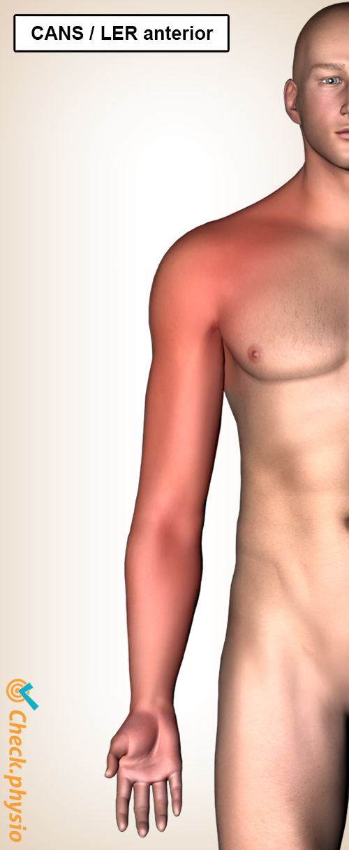 ler rsi anterior